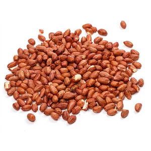 Nueva temporada de cacahuetes para procesamiento, granos de cacahuete premium para procesamiento, granos de cacahuete frescos para procesamiento, cacahuetes de nueva cosecha - Product Image 1
