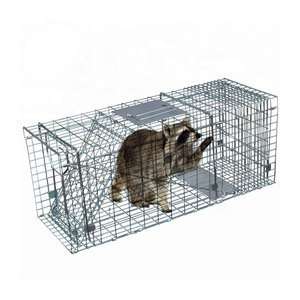Piège pliable en métal écologique et durable pour la capture vivante humaine des ratons laveurs et des renards - pour restaurants et hôtels - Product Image 4
