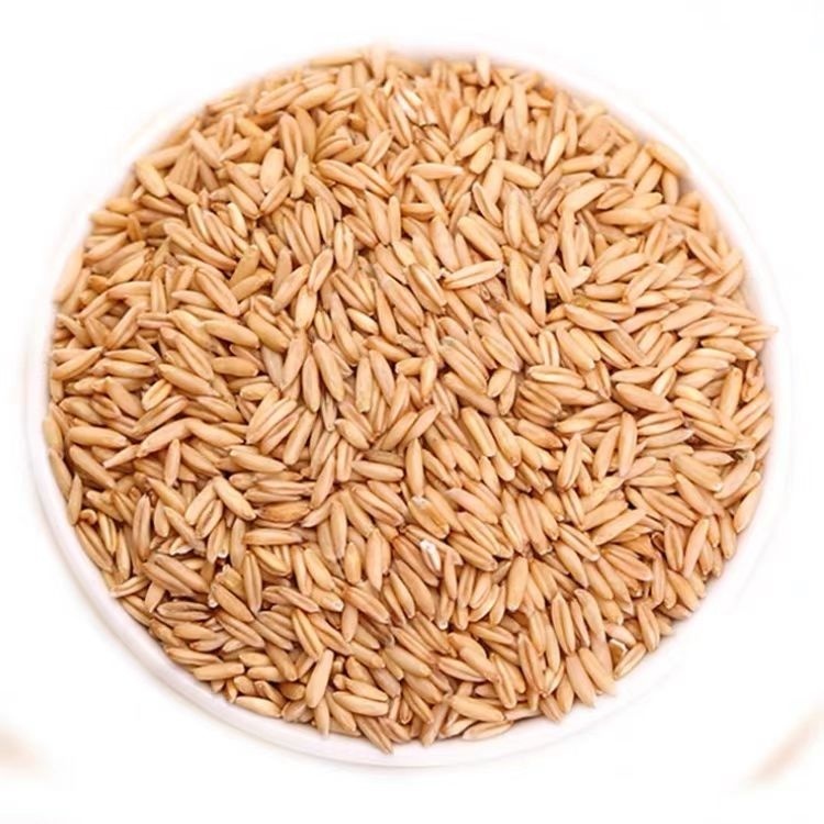 Raw materials for breakfast of straight-haired oat without bran made in China.