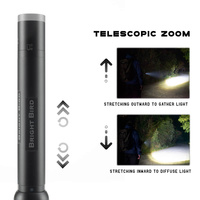 Lampe torche LED blanche en alliage d'aluminium de vente chaude lampe de poche tactique Zoom télescopique avec batterie AA IP67