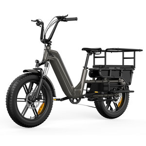Vélo <span class=keywords><strong>cargo</strong></span> électrique EU/UK à longue portée, <span class=keywords><strong>moteur</strong></span> central 250W, vélo électrique familial 20 pouces pour le transport de courses lourdes et les trajets urbains - Product Image 2