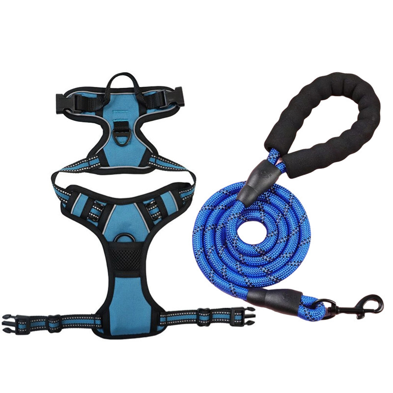 Peacock blue-chest harness + leash