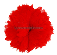 Teint Cock Coque Queue Poulet Coq Plume pour Artisanat DIY Costume Chapeau Accessoire Scène Fête Carnaval Vacances Décor