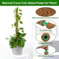 Supports de plantes en fibre de coco modernes, poteaux en mousse pour plantes grimpantes, jardin et serre