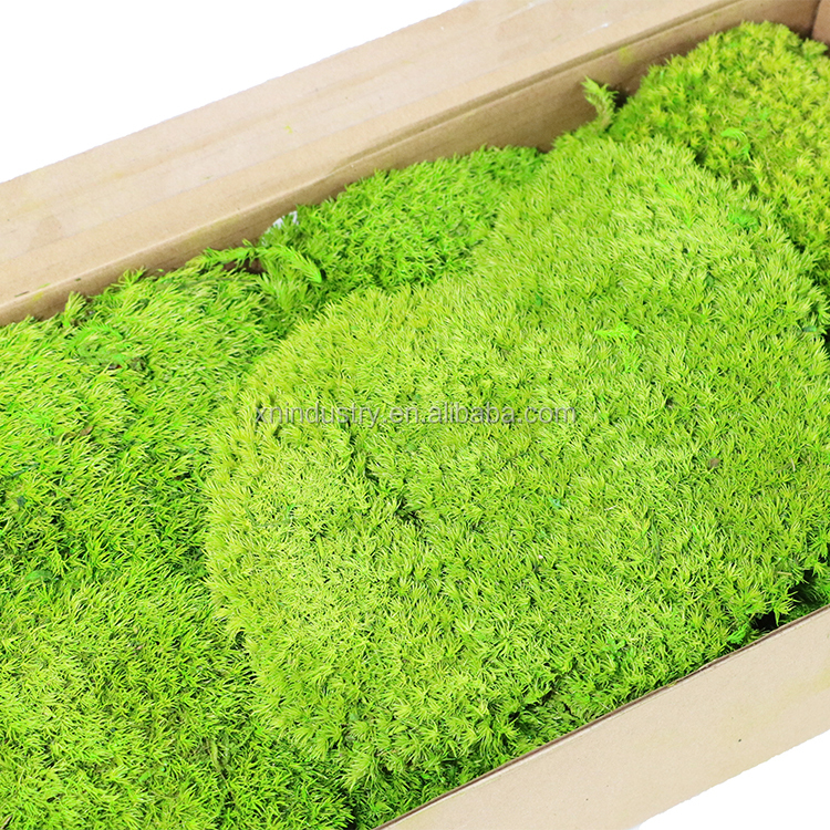 Verde hierba
