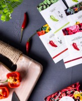 Paquets de graines en papier kraft blanc écologiques personnalisés en gros, 12 pièces, avec boîte couleur