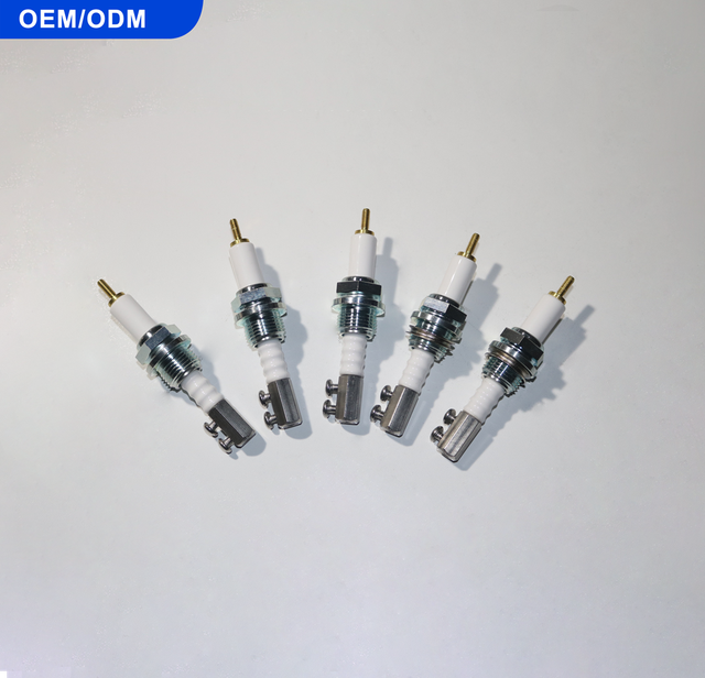 Sensor Type Probe BS-1 Water Level Industrial Control Electrode Holder for Industrial Applications Boiler Water Level Detection