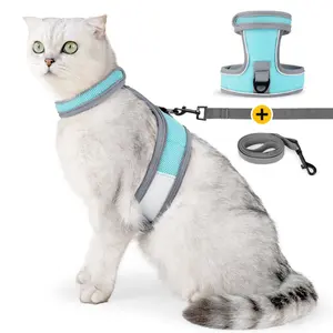 Produits pour animaux de compagnie de haute qualité prévention des évasions chats gilets harnais pour chats réglable respirant maille Pet harnais et laisse ensemble