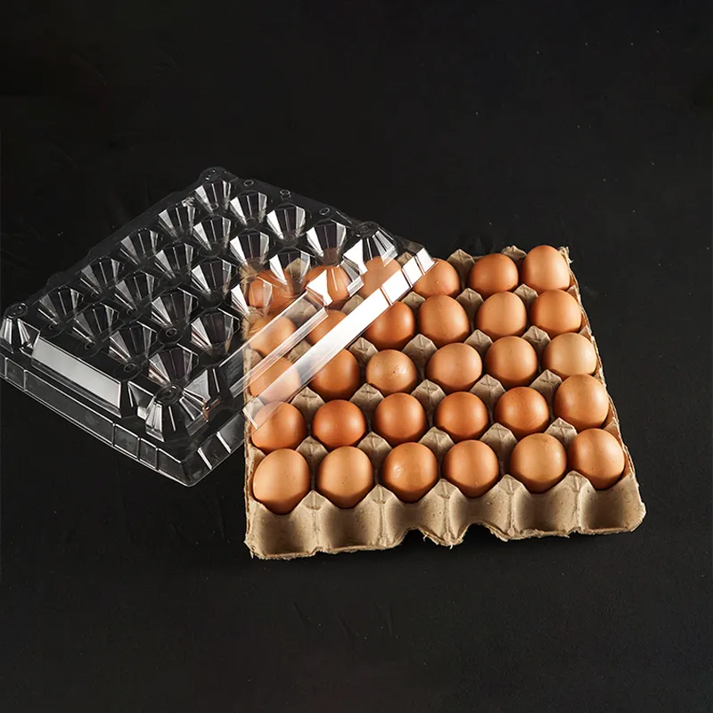 High Quality PET Plastic Food Packaging Eggs Carton Factory Directly Sale S/M/L Three Sizes 30 Holes Paper Bottom Eggs Tray