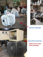 TSJA-100KVA 200KVA 300KVA Transformateur variable refroidi à l'huile VARIAC 220V 380V 430V 650V 800V
