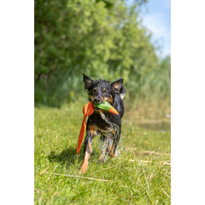 ของเล่นเป็ดกระพือปีก โพลีเอสเตอร์ 50 ซม. ของเล่นเคลื่อนไหวแบบอินเทอร์แอคทีฟสำหรับสัตว์เลี้ยง - Product Image 3