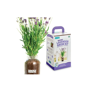 Retour à Roots Kit de culture de pot de <span class=keywords><strong>lavande</strong></span> toute l'année Jardinière de rebord de fenêtre pour jardin intérieur/extérieur Culture de plantes - Product Image 1