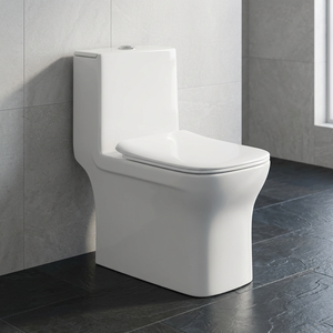 WC monobloc en céramique colorée, sans bride, à double chasse, à poser au sol, pour toilettes publiques, avec abattant à fermeture douce - Product Image 1