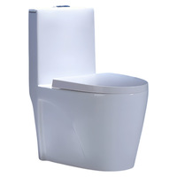 WC en céramique monobloc pour usage domestique et hôtelier, à poser au sol, avec évacuation arrière, sortie d'eau arrière, anti-odeur, grand diamètre