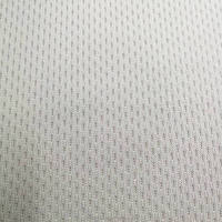 Delantex 100% Polyester Anti-Gelb Bird Eye Mesh Stoff Weiß Sublimation für T-Shirt Outdoor-Futter Kostenlose Probe