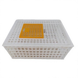 Jaula Apilable <span class=keywords><strong>de</strong></span> Plástico para Transporte <span class=keywords><strong>de</strong></span> Aves <span class=keywords><strong>de</strong></span> Corral, Jaula para Pollos Vivos, Suministro <span class=keywords><strong>de</strong></span> Fábrica al por Mayor para Distribuidores a Granel - Product Image 5