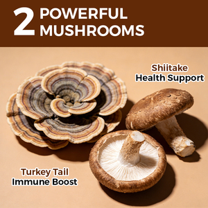 กาแฟสมุนไพรเยอร์บา มาเต้ สูตรควบคุมน้ำหนัก กาแฟสลิมมิ่งผสมเห็ด  (ฉลากสินค้าส่วนตัว) - Product Image 4