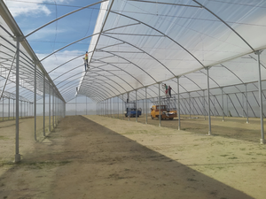 Canalón conectado diente de sierra Multi Span invernadero cubierta de película de plástico ventilación de techo para flores vegetales con cortina de sombra - Product Image 6