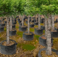 Vente en gros en usine sur mesure Sac de jardinière en plastique PE imperméable pour tomates Pots de culture de potager intérieur/extérieur pour fleurs