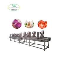 Déshydrateur de légumes et de fruits de haute qualité Walley PLC Motor 7350W avec souffleur d'air et bande de séchage, machine de déshydratation