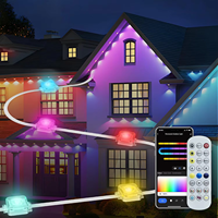 Contrôleur Wi-Fi intelligent pour lumières LED de vacances en extérieur, corps en PVC pour l'éclairage de jardin, éclairage de Noël, affichage extérieur permanent de la maison