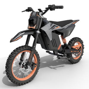Moto tout-terrain Freeboy US Stock Y88 avec pneus de 14 pouces, double frein à disque hydraulique, batterie 48V 30Ah - Product Image 2