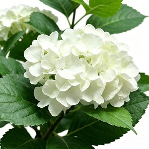 Artificial Hydrangea Green Plant Potted Flower <b>Tree</b> Decorative Piece for Living Room - Product Image 6
