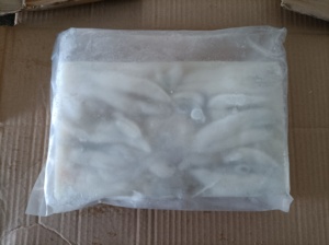 M36 illex mực roe Chất lượng cao đông lạnh Trắng Ấn Độ mực roe - Product Image 5