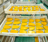 Fruitdroger Machine Drogende Druif/Banaan/Mango/Abrikozenstervende Apparatuur Warmtepomp Stervende Oven