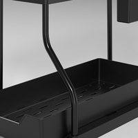 Nouveau produit : Étagère double coulissante pour cuisine, rangement amovible sous l'évier, support à épices pour comptoir, organisateur d'épices