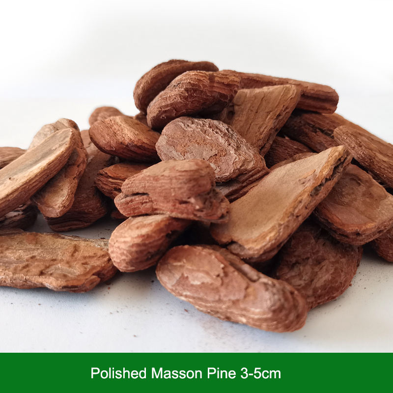 Pin masson poli 3-5cm