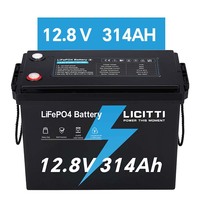 Batteries au lithium solaires OEM/ODM CE UE 24V 12V 100Ah 200Ah 300Ah à décharge profonde, Lithium Fer LifePo4 pour système d'énergie solaire