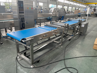 Máquina Automática para Pasteles, Máquina Automática para Batir Mousse, Leche y Mantequilla, Máquina de Aireación Continua, Sistema de Aireación para Chocolate