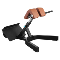 Équipement de gymnastique commercial en gros Extension du dos en acier Chaise romaine Machine Fitness Banc de gymnastique