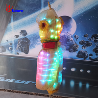 Abito da ballo luminoso a LED da donna, costume etnico indiano per palcoscenico, sfilate, discoteca, carnevale, festival, spettacoli dal vivo, feste, personalizzabile e luminoso