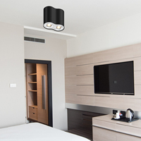China FTY Modern GU10 Proyecto de doble cabeza Luz Montado en superficie Led Techo Aluminio Downlight