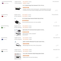Transformateur d'allumage 12V pour brûleur à mazout, brûleur à huile usagée, cuisinière de cuisine - Nouvelle énergie