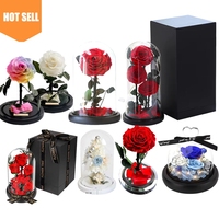 Konservierte Rosen Unvergängliche Verzauberte Ewige Rose Konservierte Blume Ewige Rosen in Glaskuppel mit LED