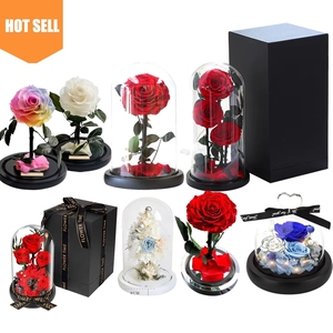 Rose Eterne Preservate Incantate in Cupola di Vetro con LED - Product Image 5