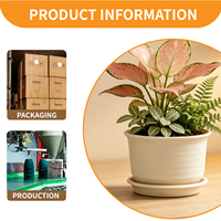Pot de fleurs en résine écologique épaissie avec trou de drainage, design minimaliste, durable, 1,2 L, pour jardinage, arrosage domestique, plantes succulentes