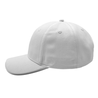 Gorra de Béisbol Unisex al por Mayor con Tira de Luces LED de 6 Paneles, Cierre Trasero Ajustable, Lona Común para Uso Deportivo, Logotipo Bordado Personalizado