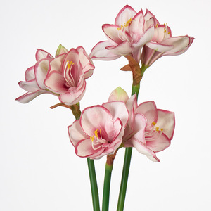 Fleur artificielle en PU <span class=keywords><strong>Amaryllis</strong></span>, haut de gamme, nouveau style chinois, pour salon, table, entrée, mariage, décoration de fête, <span class=keywords><strong>Amaryllis</strong></span> - Product Image 1