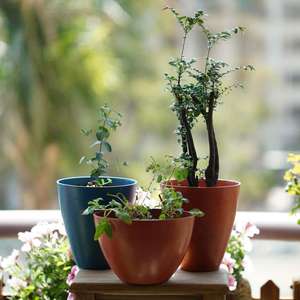 Pioneera-<span class=keywords><strong>Maceta</strong></span> de fibra ecológica de 15cm, <span class=keywords><strong>maceta</strong></span> decorativa biodegradable para uso en jardín <span class=keywords><strong>interior</strong></span> y exterior - Product Image 5