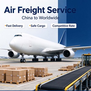 Transporte Aéreo Económico, Servicio Puerta a Puerta DDP, Envío LCL Global desde China/Dongguan, Precios Competitivos, Servicio 24/7 - Product Image 6