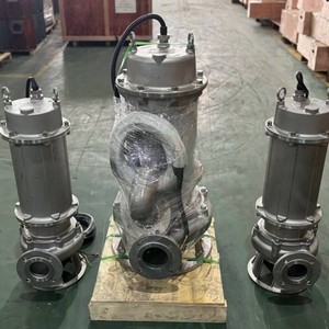 Bombas Sumergibles de 7.5 Kilovatios, de 4 y 6 Pulgadas, para Riego Agrícola y Dragado de Ríos - Product Image 6