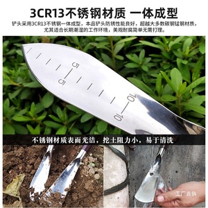 Stainless Steel Small Hand Shovel Ch06 Garden Digging Tool With Wooden Handle For <b>Weeding</b> And Soil Loosening - Product Image 3