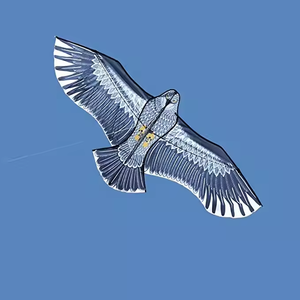 Happy Eagle Soaring, Eagle <span class=keywords><strong>Kite</strong></span>, parfait pour les sorties parent-enfant - Product Image 5