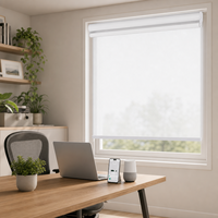 Stores à rouleaux doubles intelligents modernes, motorisés, jour et nuit, avec application WiFi Tuya pour salon et balcon