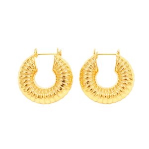 Orecchini a Cerchio Trendy Placcati Oro in Lega di Zinco, Gioielli Unisex alla Moda, Colore Oro Bianco, Misura 20mm - Product Image 1