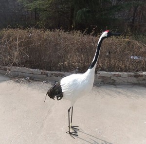 <span class=keywords><strong>นก</strong></span>เทียมรูปปั้นพลาสติกรูปสัตว์ขนาดใหญ่รูป<span class=keywords><strong>มงกุฎ</strong></span>แดงอุปกรณ์ตกแต่งสว<span class=keywords><strong>นก</strong></span>ลางแจ้ง - Product Image 1